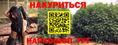 крисы Кандалакша