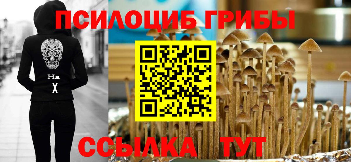 Псилоцибиновые грибы Cubensis  Вход с VPN  Псилоцибиновые грибы GOLDEN TEACHER  Холмск 